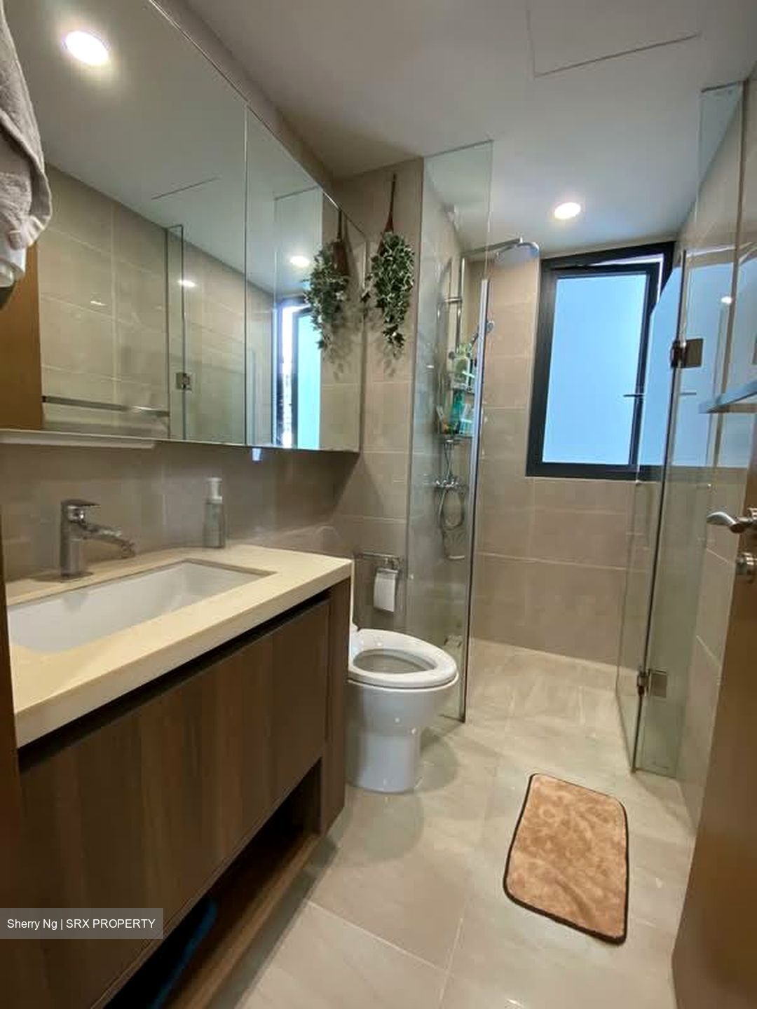 Kingsford Waterbay (D19), Apartment #598286491